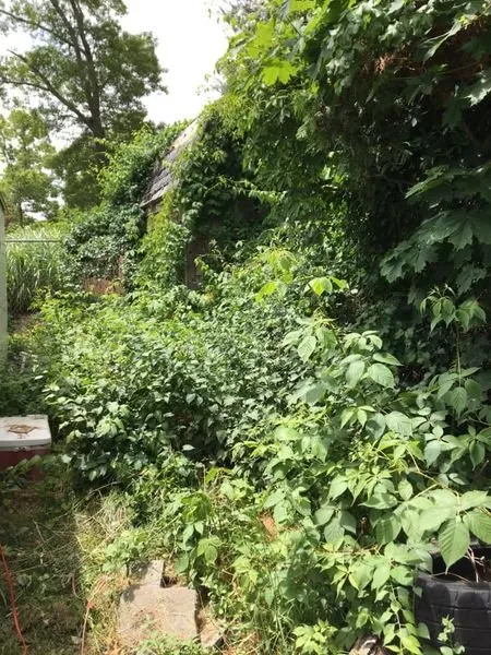 Custom yard maintenance in Buzzards Ba, MA by Fraser Lawn Care