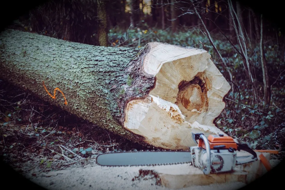 Professional outdoor landscaping experts serving Northfield, OH - Fratelli Excavating and Landscapes