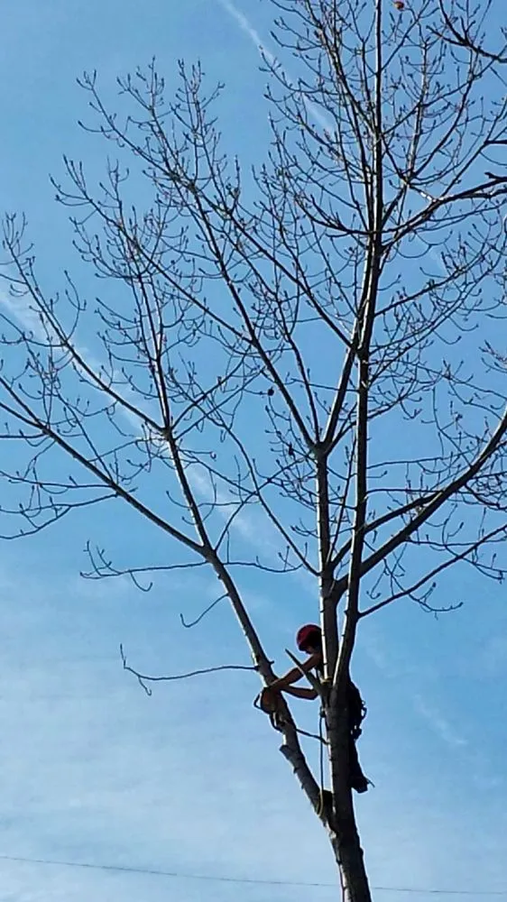 Top-rated landscape design for residential properties across Northfield, OH - Fratelli Excavating and Landscapes