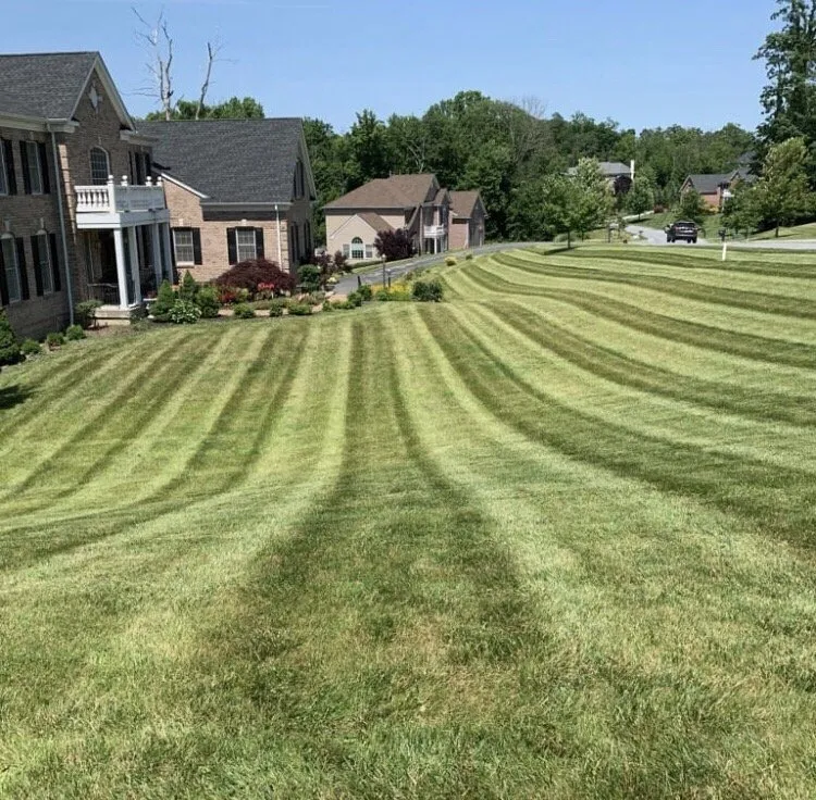 Professional lawn care service for year-round maintenance in Hopewell Junction, NY by Fratelli Landscaping