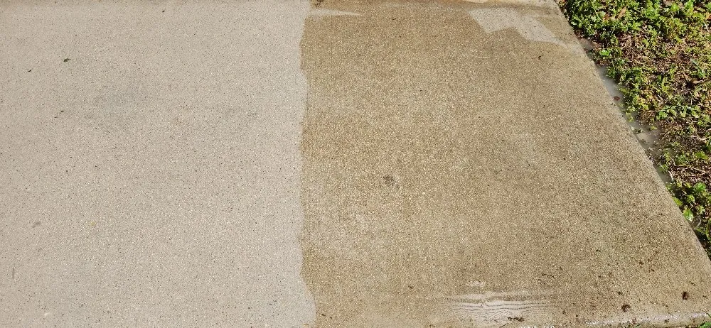 Top-rated yard cleanup service experts serving Slidell, LA - Fratelli Pro Wash