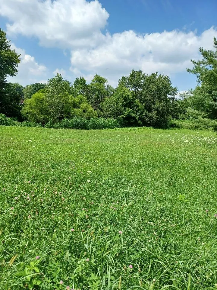 Expert yard maintenance experts serving Columbus, OH - Fratelli’s lawn and landscape design