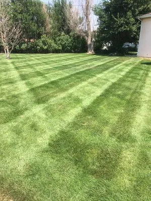 Fratelli’s Trash And Lawn Care