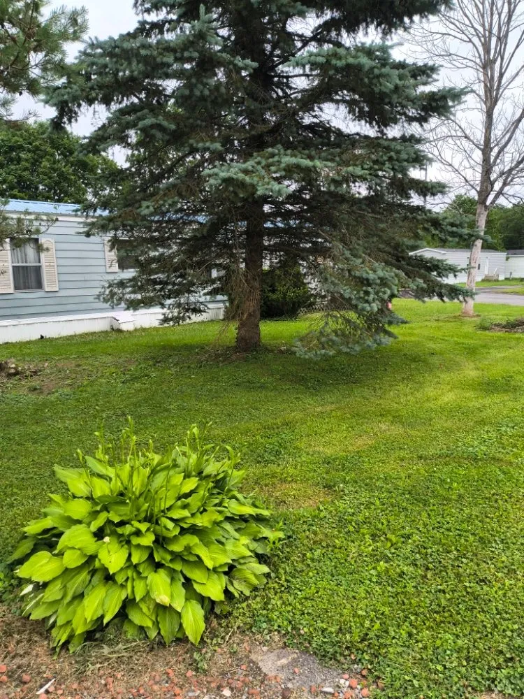 Custom outdoor landscaping for outdoor upgrades across Madison, NY - Frazier And Son's Landscaping