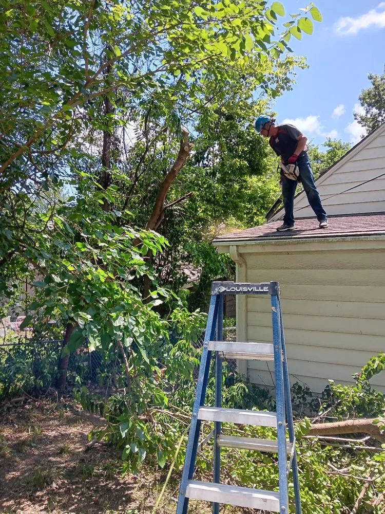 Custom landscape design in Independence, MO by Frazier Bros Labor Kings