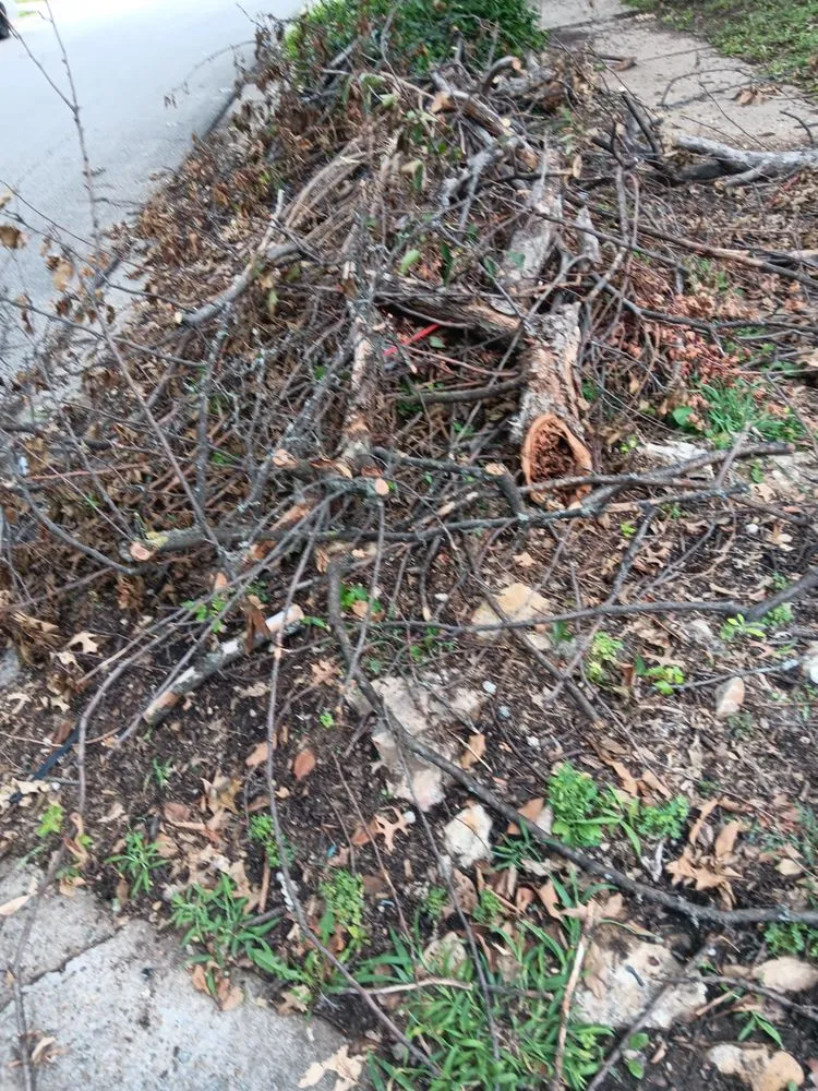 Affordable landscaping services for beautiful yards across Independence, MO - Frazier Bros Labor Kings