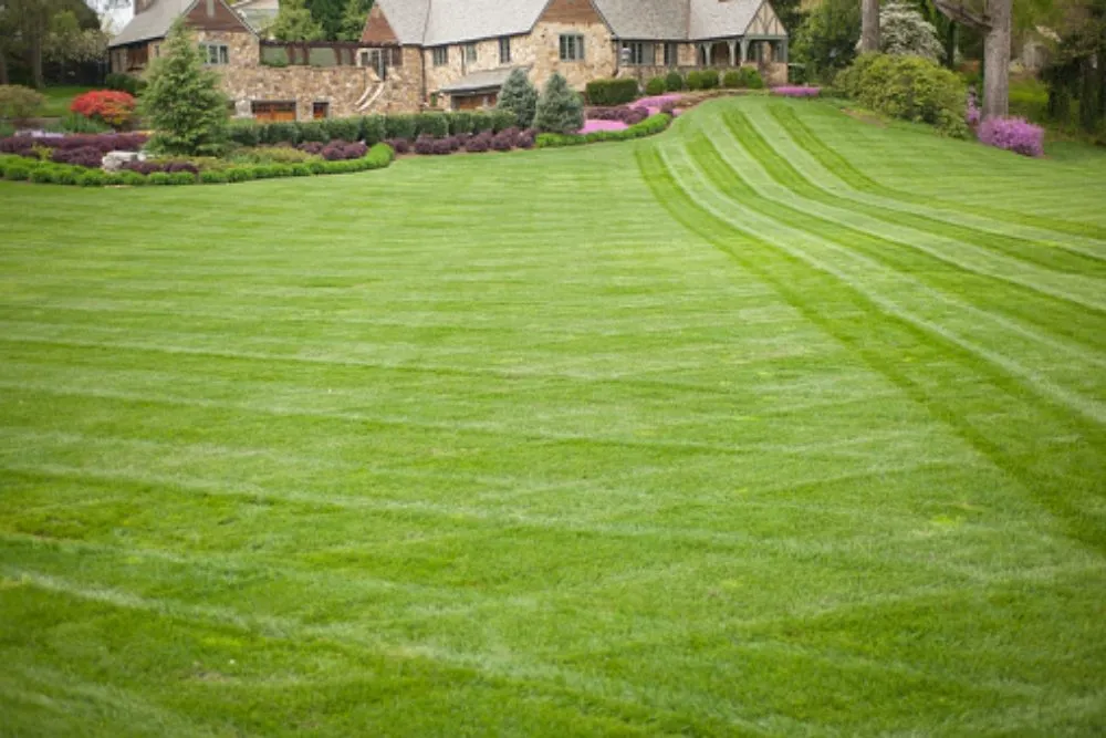 Reliable lawn care service in Mineral Wells, TX by Frazier Lawn Care