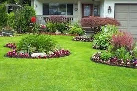 Affordable yard maintenance near you across Mineral Wells, TX - Frazier Lawn Care