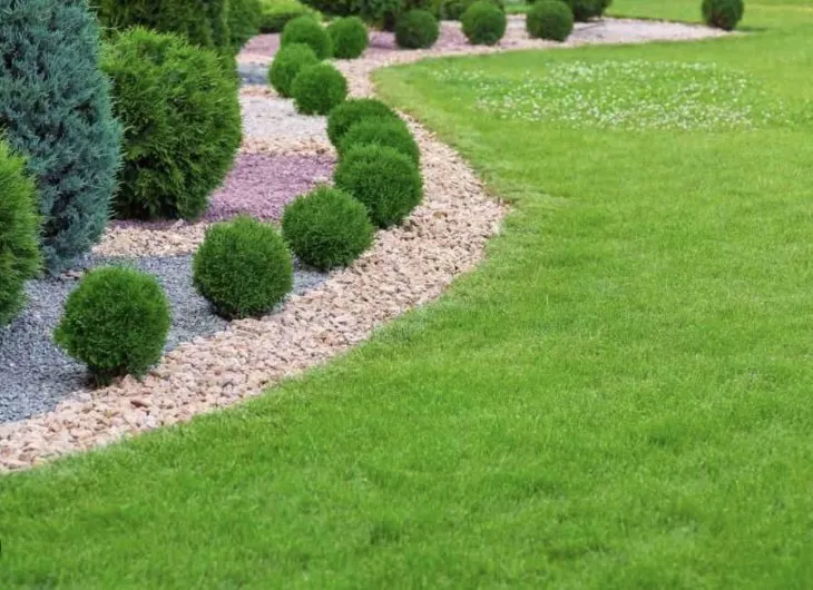 Trusted lawn care service in Rocky Face, GA - Frazier's Home Repair & Maintenance