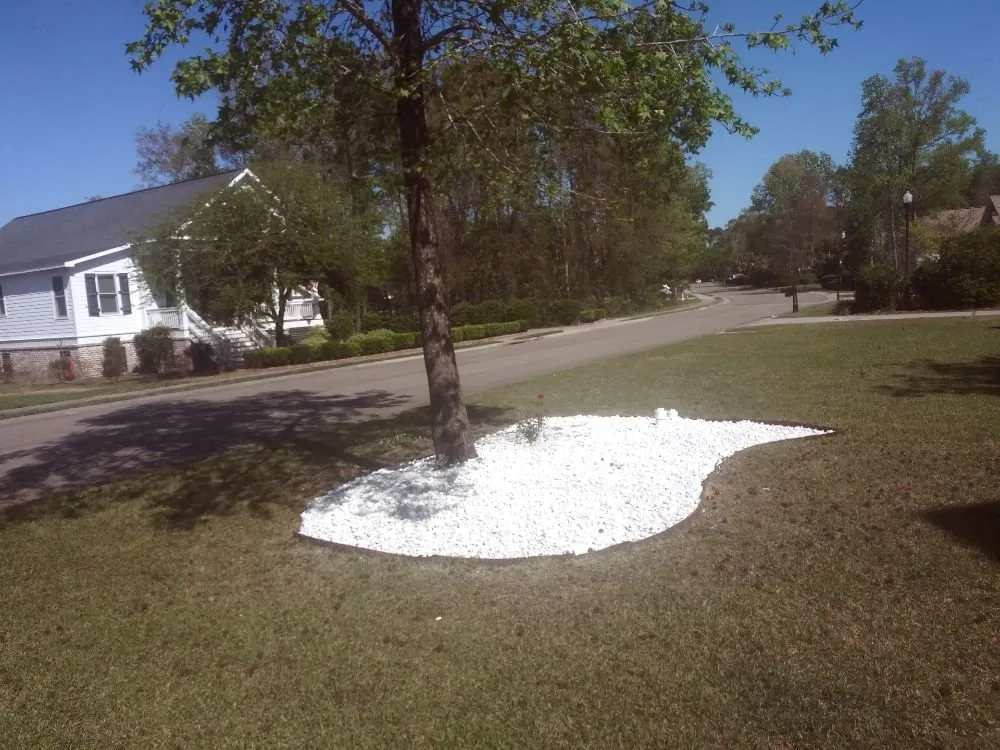 Professional outdoor landscaping for homes across Summerville, SC - Frazier's Lawn Management