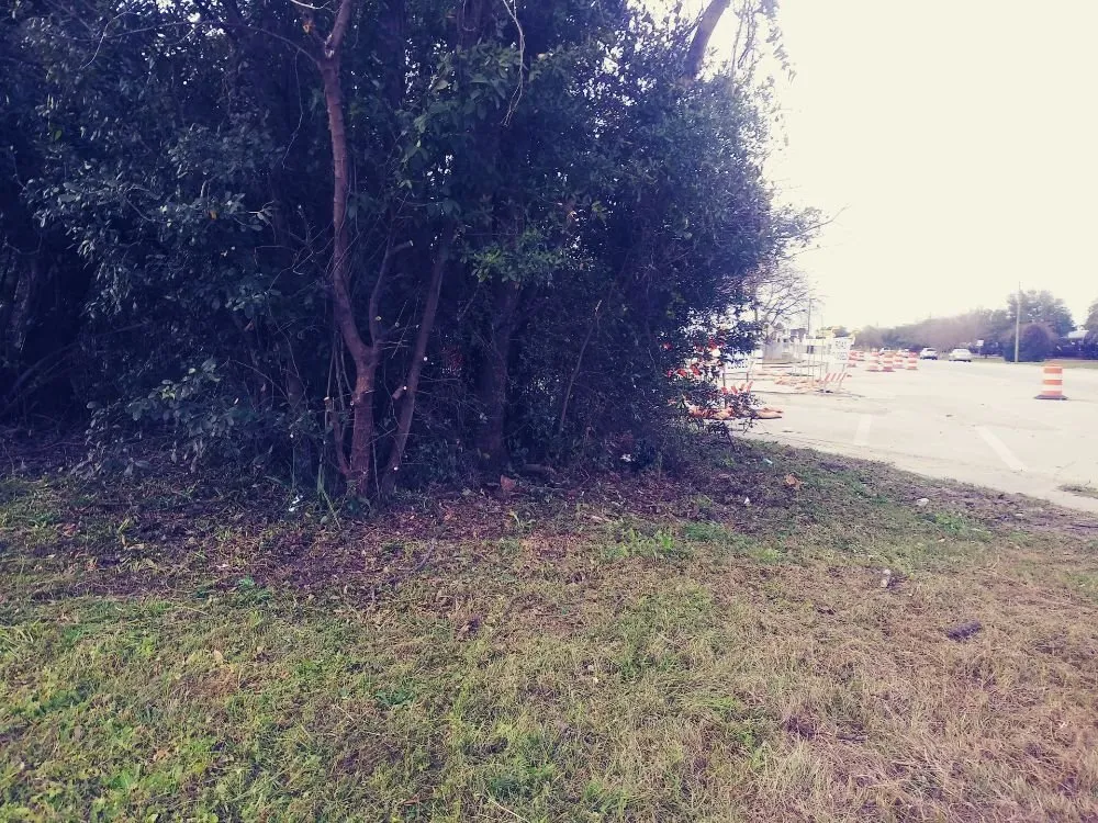 Affordable lawn mowing service experts serving Summerville, SC - Frazier's Lawn Management