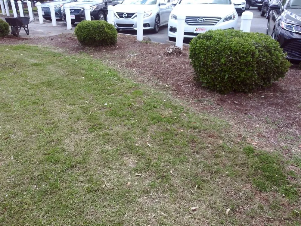 Affordable outdoor landscaping in Summerville, SC - Frazier's Lawn Management