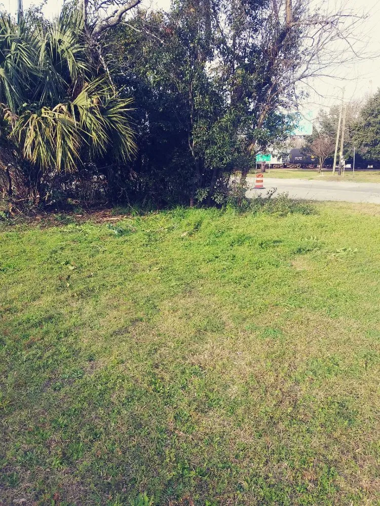 Reliable landscaping services experts serving Summerville, SC - Frazier's Lawn Management