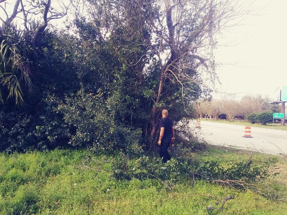 Trusted lawn care service experts serving Summerville, SC - Frazier's Lawn Management