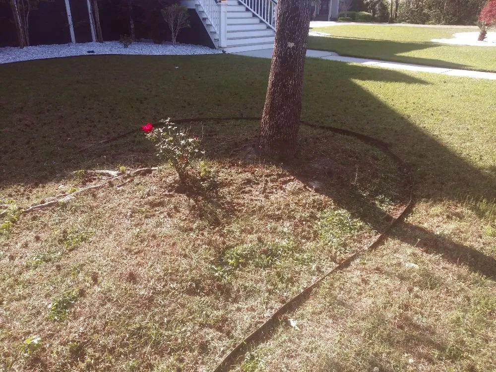 Expert outdoor landscaping in Summerville, SC - Frazier's Lawn Management