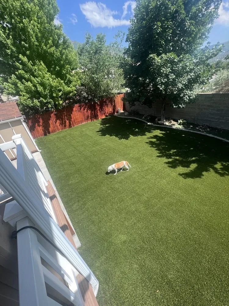 Expert outdoor landscaping in Salt Lake City, UT - FRDM Turf