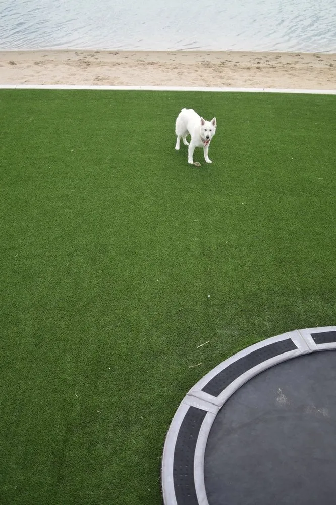 Trusted landscape design in Salt Lake City, UT - FRDM Turf