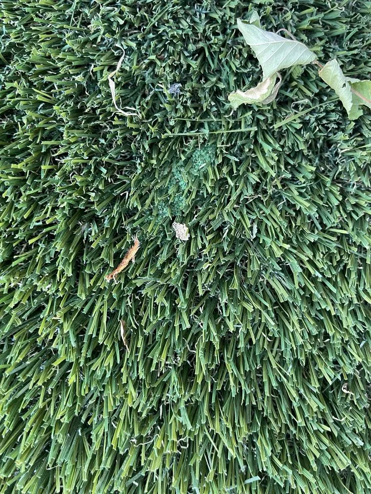 Affordable landscape design in Salt Lake City, UT - FRDM Turf