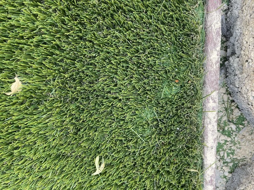 Local lawn care service for residential properties in Salt Lake City, UT by FRDM Turf