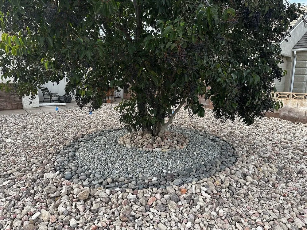 Reliable outdoor landscaping for year-round maintenance across St. George, UT - FRDM Turf