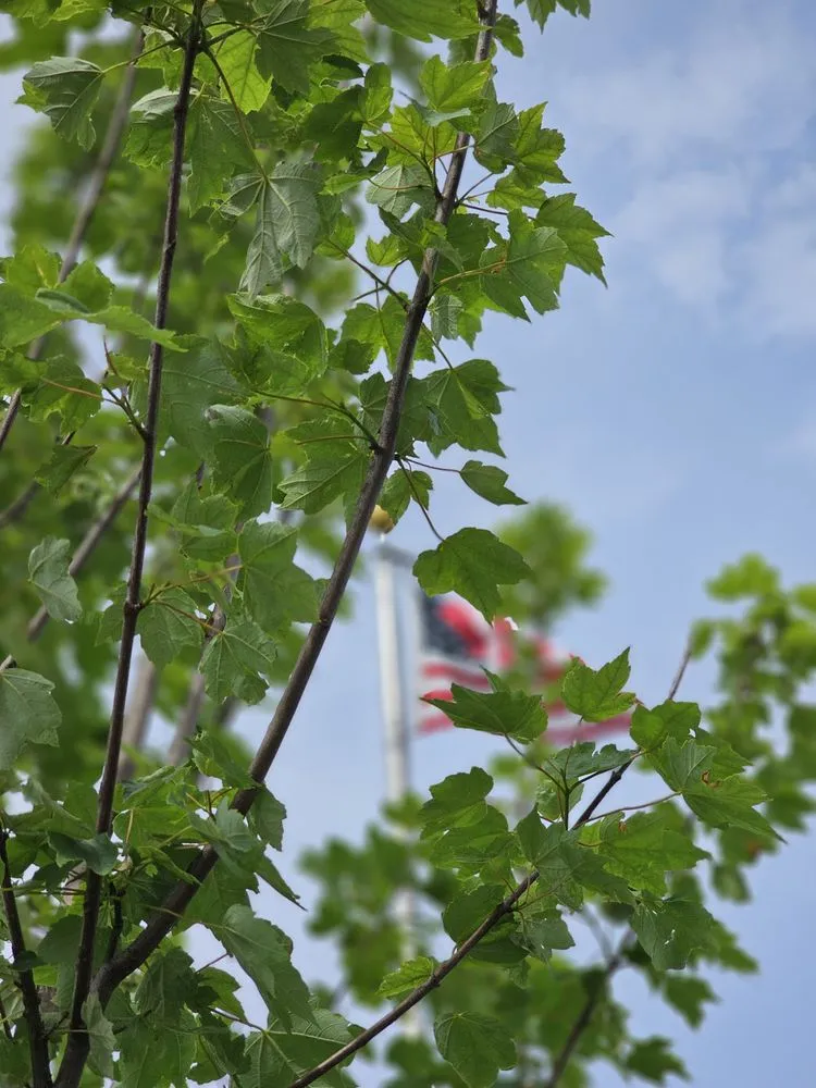 Local yard cleanup service with custom design across Kansas City, MO - Freak Of Nature Landscaping