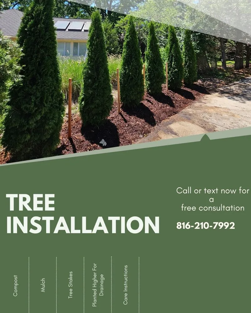 Reliable landscaping services in Kansas City, MO - Freak Of Nature Landscaping