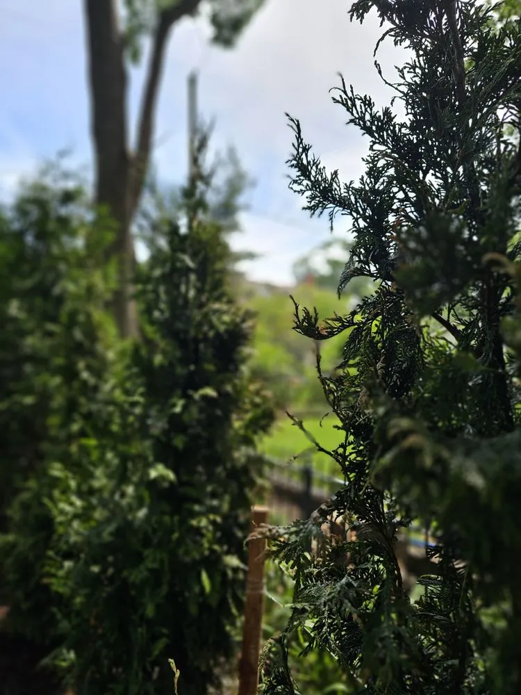 Reliable landscape installation for outdoor upgrades across Kansas City, MO - Freak Of Nature Landscaping