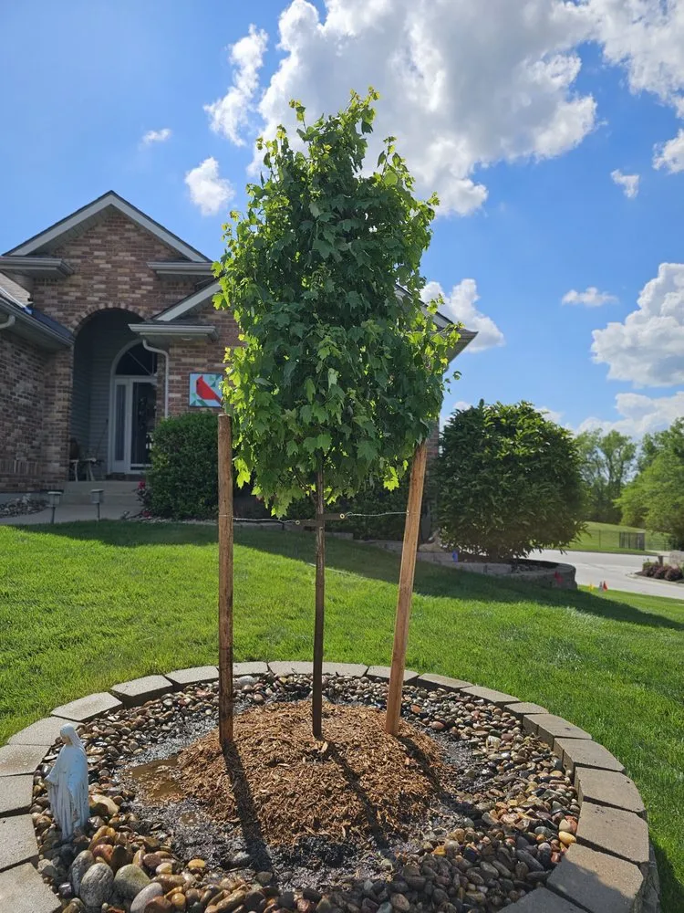 Local landscape design in Kansas City, MO by Freak Of Nature Landscaping
