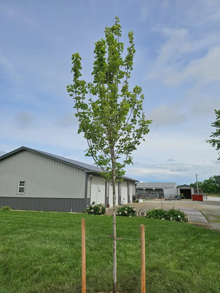 Trusted garden landscaping for year-round maintenance in Kansas City, MO by Freak Of Nature Landscaping