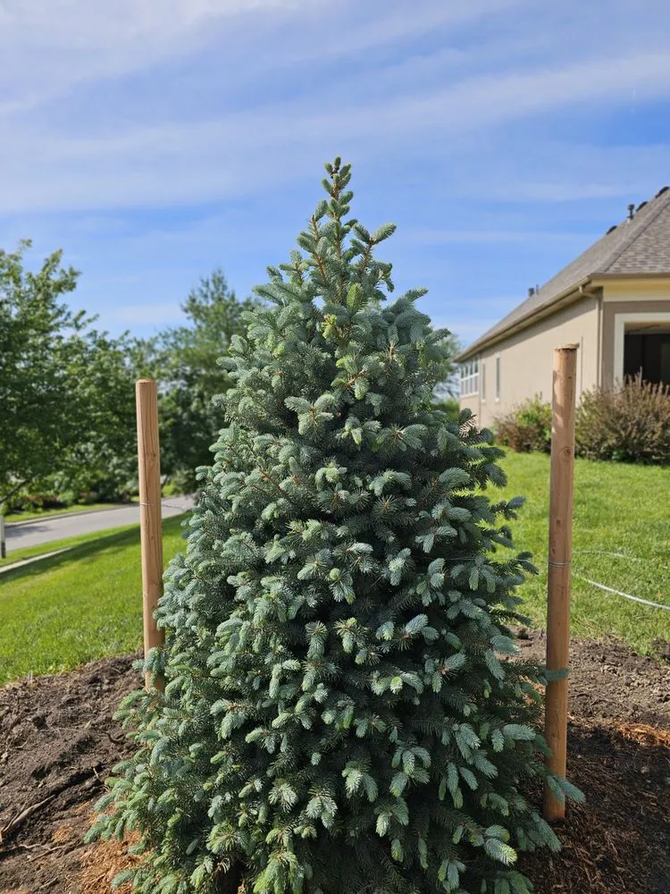 Affordable lawn mowing service in Kansas City, MO - Freak Of Nature Landscaping