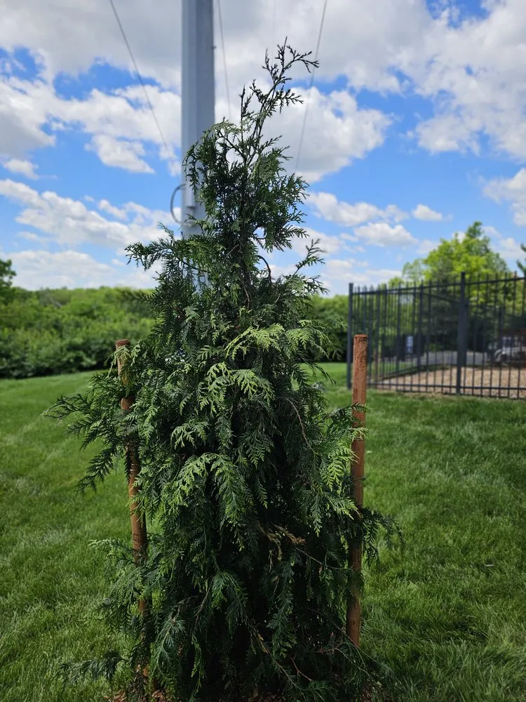 Trusted lawn mowing service for homes in Kansas City, MO by Freak Of Nature Landscaping