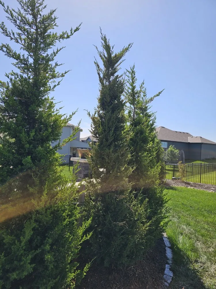 Affordable outdoor landscaping for residential properties in Kansas City, MO by Freak Of Nature Landscaping