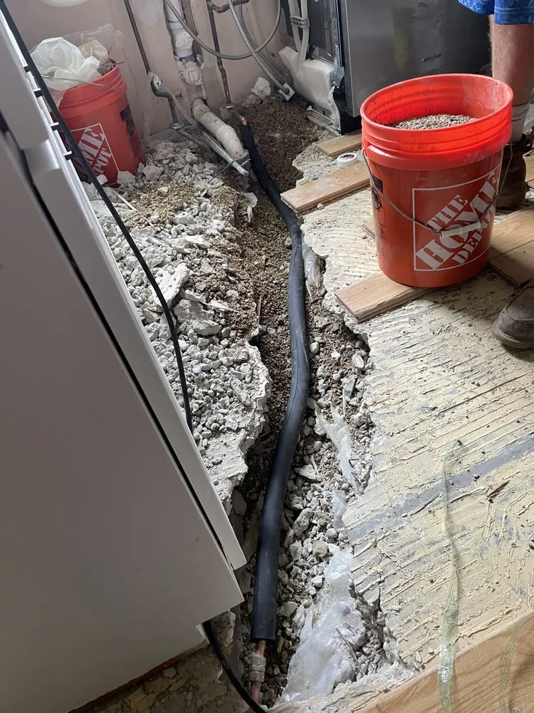 Reliable yard cleanup service in Downers Grove, IL - Fred & Sons Home Services