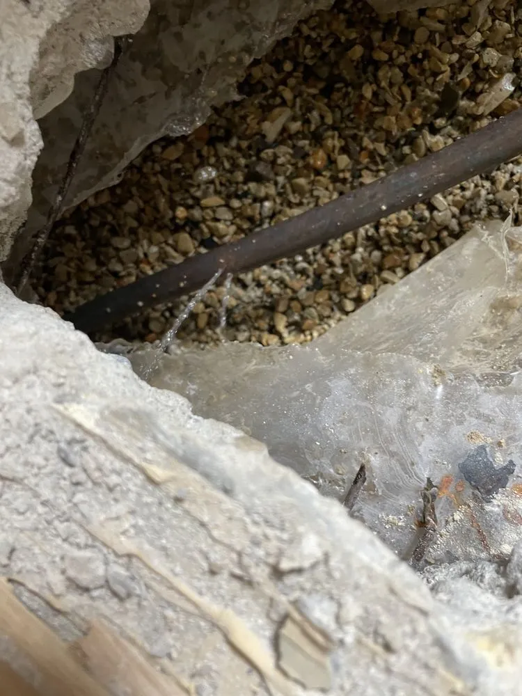 Top-rated residential landscaping in Downers Grove, IL - Fred & Sons Home Services