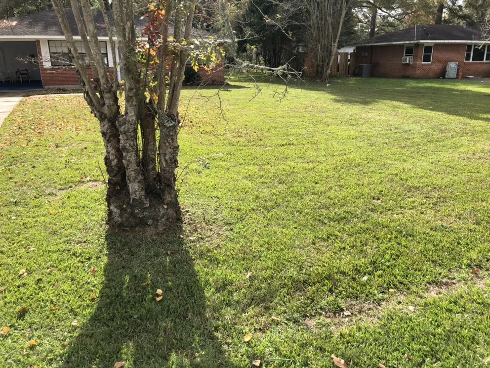 Trusted landscape installation in Baton Rouge, LA - Fred & Sons Lawncare