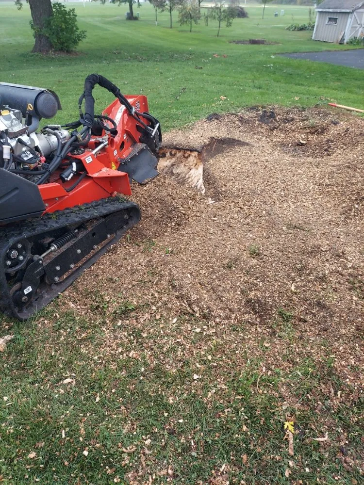 Affordable lawn mowing service for homes in Cambria, WI by Fred Bear Lawn Care