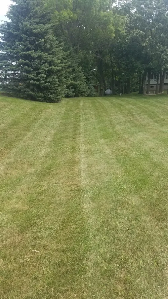 Expert garden landscaping in Cambria, WI - Fred Bear Lawn Care