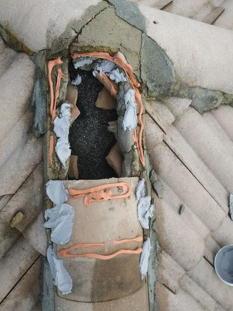 Local landscape design experts serving Delray Beach, FL - Fred Gold Proof Pressure Cleaning