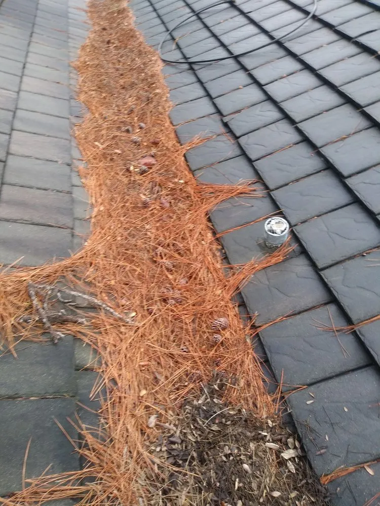 Custom outdoor landscaping with custom design in Delray Beach, FL by Fred Gold Proof Pressure Cleaning