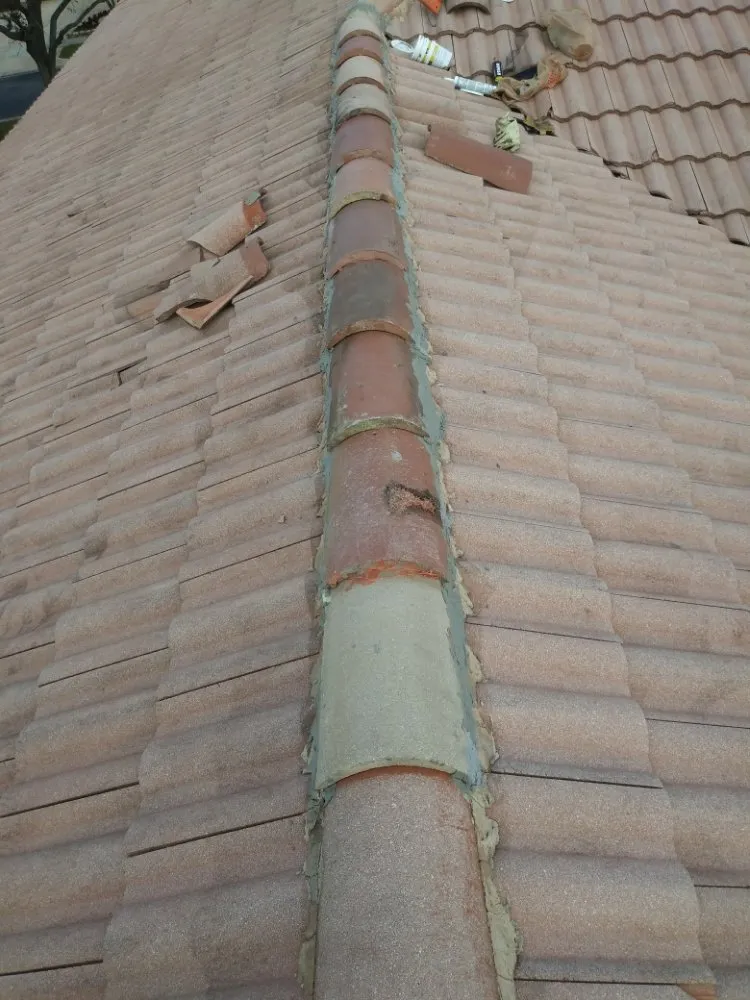 Reliable lawn mowing service experts serving Delray Beach, FL - Fred Gold Proof Pressure Cleaning