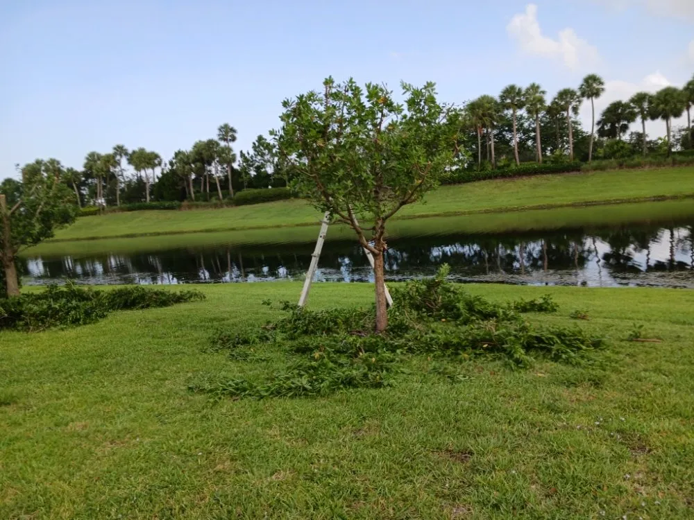 Local garden landscaping for year-round maintenance across Delray Beach, FL - Fred Gold Proof Pressure Cleaning