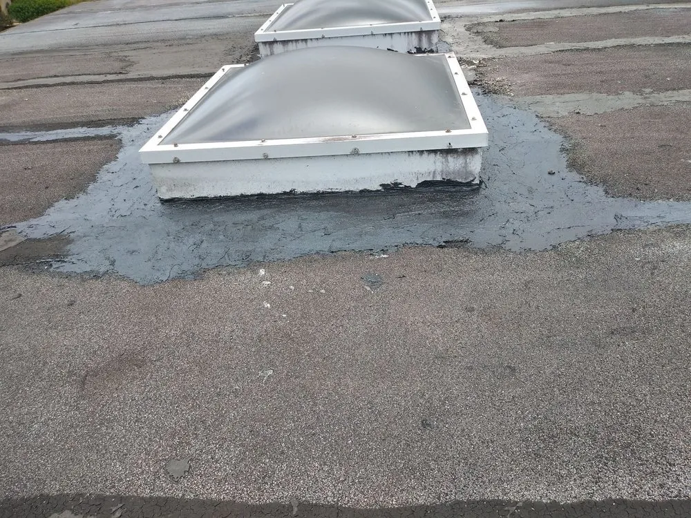 Local outdoor landscaping for year-round maintenance in Delray Beach, FL by Fred Gold Proof Pressure Cleaning