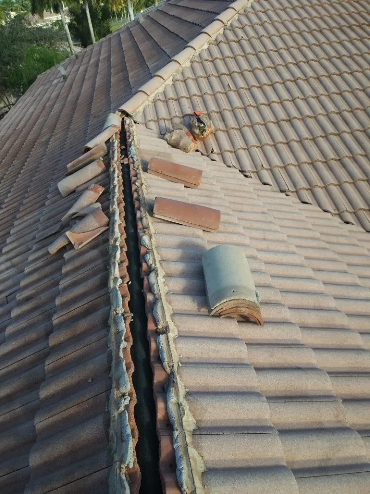 Trusted yard cleanup service for beautiful yards in Delray Beach, FL by Fred Gold Proof Pressure Cleaning