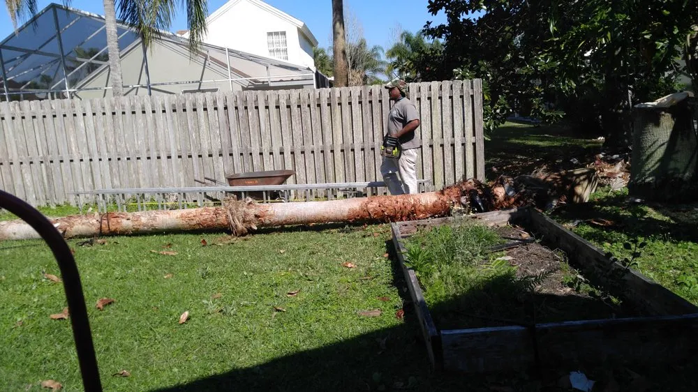 Professional lawn care service experts serving Davenport, FL - Fred Landscaping & Tree Service