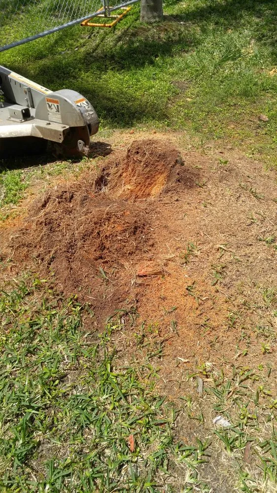 Reliable lawn mowing service in Davenport, FL - Fred Landscaping & Tree Service