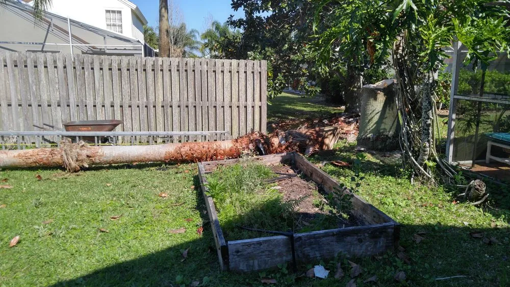 Trusted yard cleanup service experts serving Davenport, FL - Fred Landscaping & Tree Service