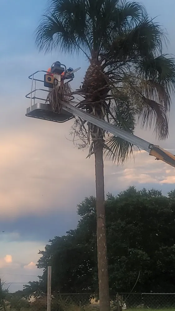 Top-rated garden landscaping experts serving Davenport, FL - Fred Landscaping & Tree Service