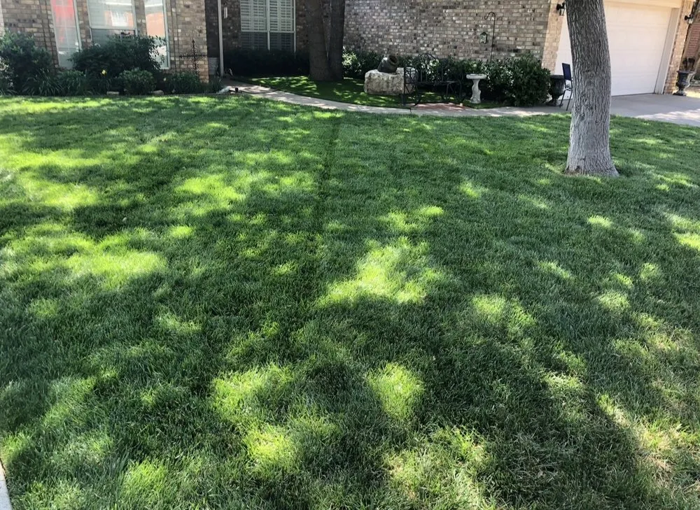 Professional yard maintenance experts serving Mansfield, TX - Fred Lawn & Light