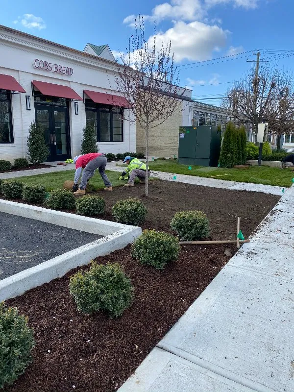 Affordable lawn mowing service experts serving Greenwich, CT - Fred N Durante Jr Construction Services