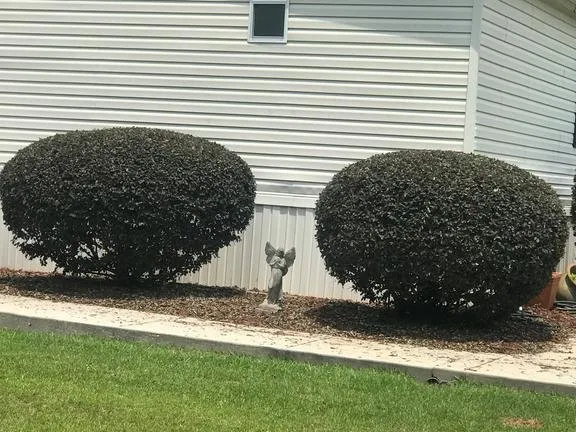 Local residential landscaping in Kentwood, LA by Freddie's Complete Lawn Service